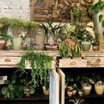 Bloemen van een Joyn handelaar